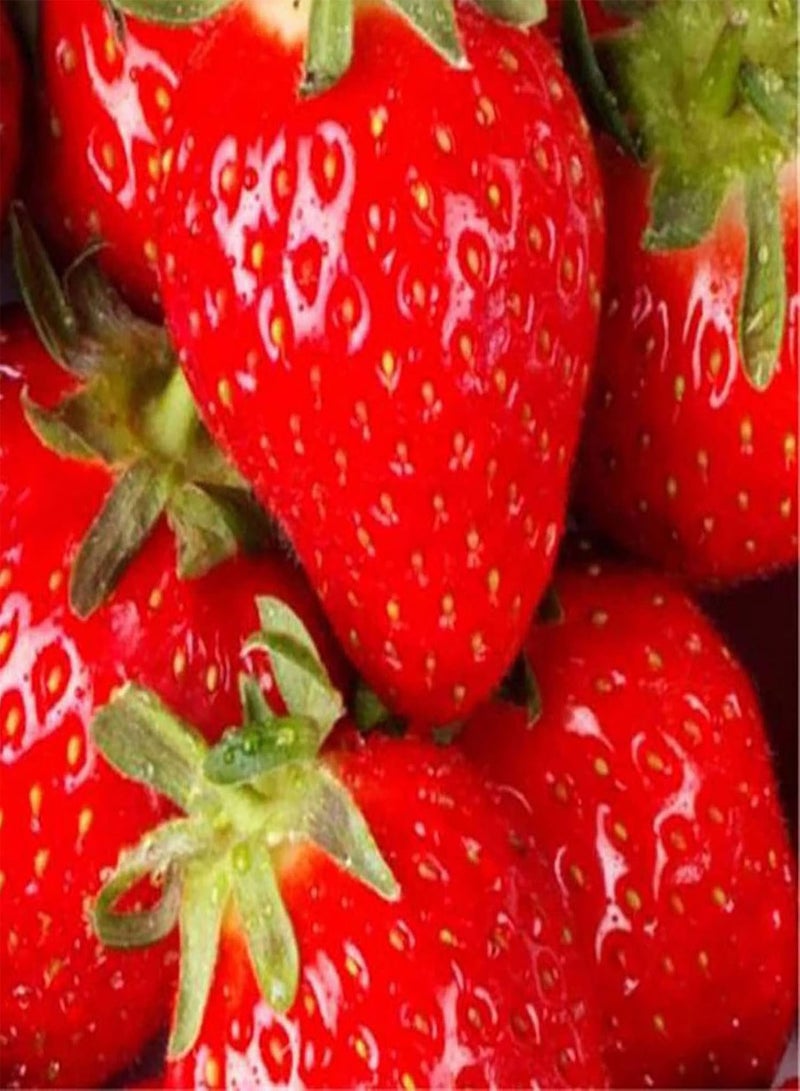 GGOOT 250Pcs Strawberry Plant seeds Delicious Easy Germination Fresh Natural Mini Fruit seeds Garden Accessories Red - Image 2