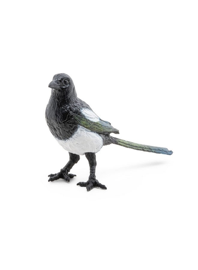 Papo Papo - Realistic Magpie Figurine - from 3 Years Old - Discovering The Animal World - Realistic Figurine - Educational Toy - Hand Painted - Collection - Decoration - Children's Gift - Image 2