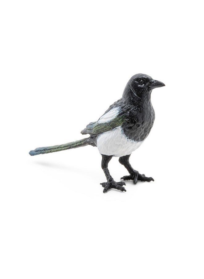 Papo Papo - Realistic Magpie Figurine - from 3 Years Old - Discovering The Animal World - Realistic Figurine - Educational Toy - Hand Painted - Collection - Decoration - Children's Gift - Image 4