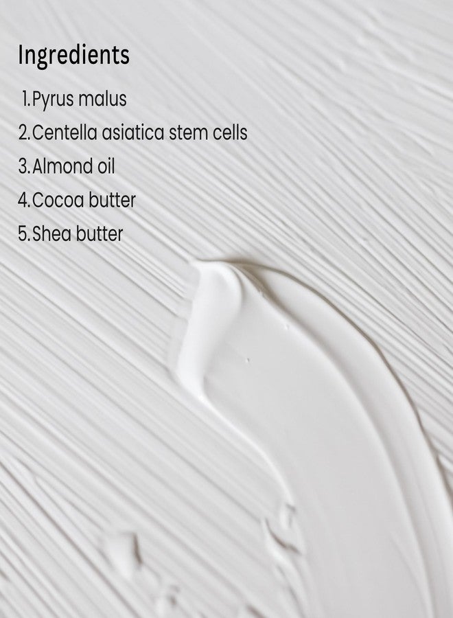 Tatha Lip Shield with SPF15 | Lip Cream for Men & Women | With Plants Stem Cells & Vitamin E | For Dark Pigmented, Dry & Chapped Lips | Intense Hydration, Healing & UV Protection | Vegan | 15g - Image 2