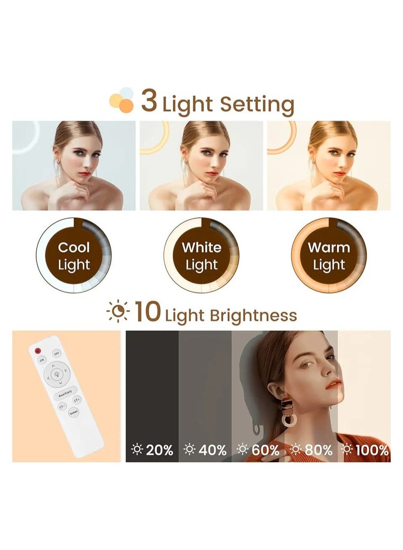 مصباح دائري LED RL-14 ، مصباح دائري ناعم مقاس 14 بوصة للهواتف الذكية ، كاميرا ، مقاطع فيديو YouTube TikTok مع حامل ثلاثي القوائم و 3 حوامل للهواتف - Image 2