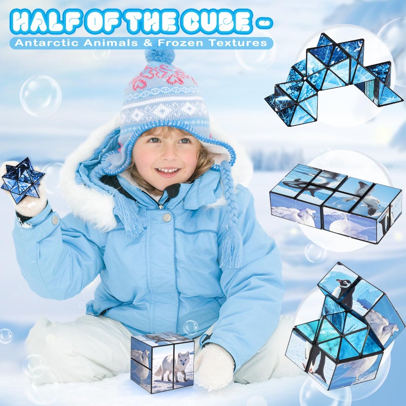 Euclidean Cube 2 in 1 Magic Cube Set, Fidget Toy for Kids Adults, Yoshimoto Cube for Ages 8-12, Arctic/Antarctic Animals Puzzle Cube Fun Toy for Boys Girls (Polar Series) - Image 3