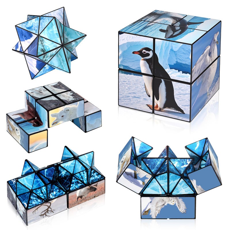 Euclidean Cube 2 in 1 Magic Cube Set, Fidget Toy for Kids Adults, Yoshimoto Cube for Ages 8-12, Arctic/Antarctic Animals Puzzle Cube Fun Toy for Boys Girls (Polar Series) - Image 1