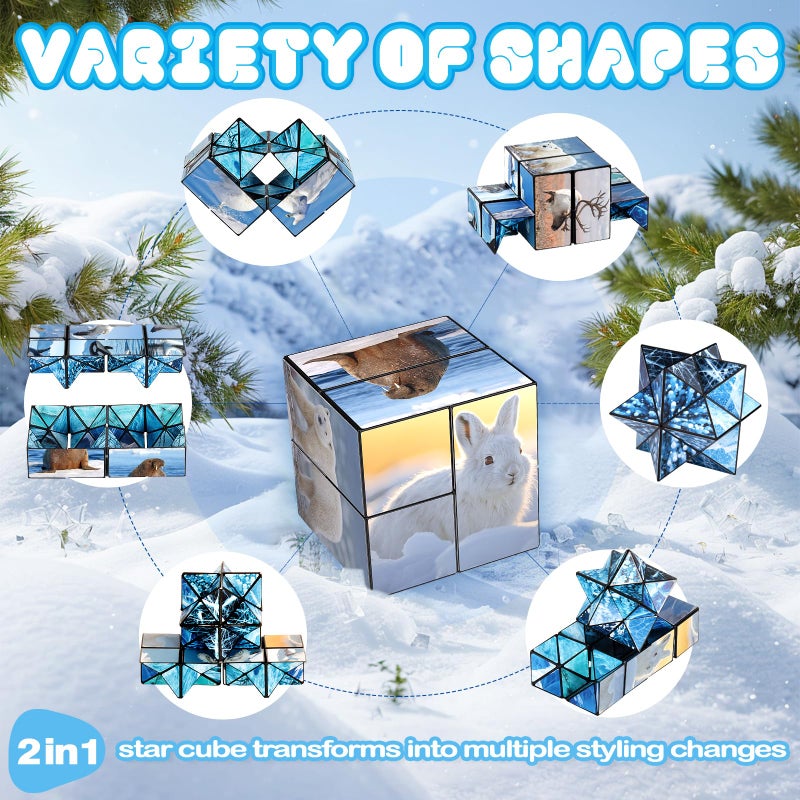 Euclidean Cube 2 in 1 Magic Cube Set, Fidget Toy for Kids Adults, Yoshimoto Cube for Ages 8-12, Arctic/Antarctic Animals Puzzle Cube Fun Toy for Boys Girls (Polar Series) - Image 2