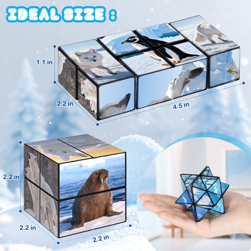 Euclidean Cube 2 in 1 Magic Cube Set, Fidget Toy for Kids Adults, Yoshimoto Cube for Ages 8-12, Arctic/Antarctic Animals Puzzle Cube Fun Toy for Boys Girls (Polar Series) - Image 5