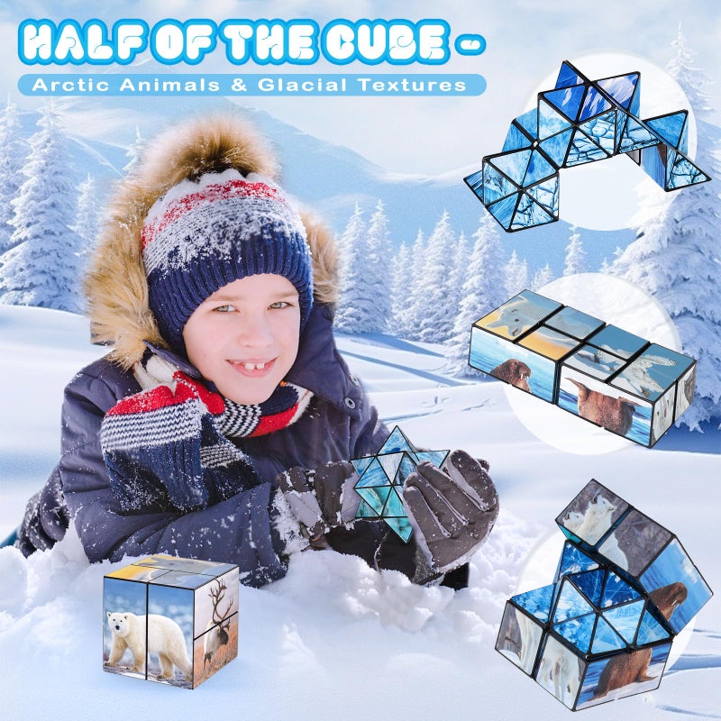Euclidean Cube 2 in 1 Magic Cube Set, Fidget Toy for Kids Adults, Yoshimoto Cube for Ages 8-12, Arctic/Antarctic Animals Puzzle Cube Fun Toy for Boys Girls (Polar Series) - Image 4