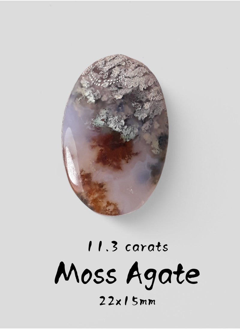 Natural Moss Agate - 11.3 carats - 22x15mm - pzsku/Z9456CD5E5E7CB256137CZ/45/_/1738819092/a9276d16-1a63-49c1-a364-6375465797db