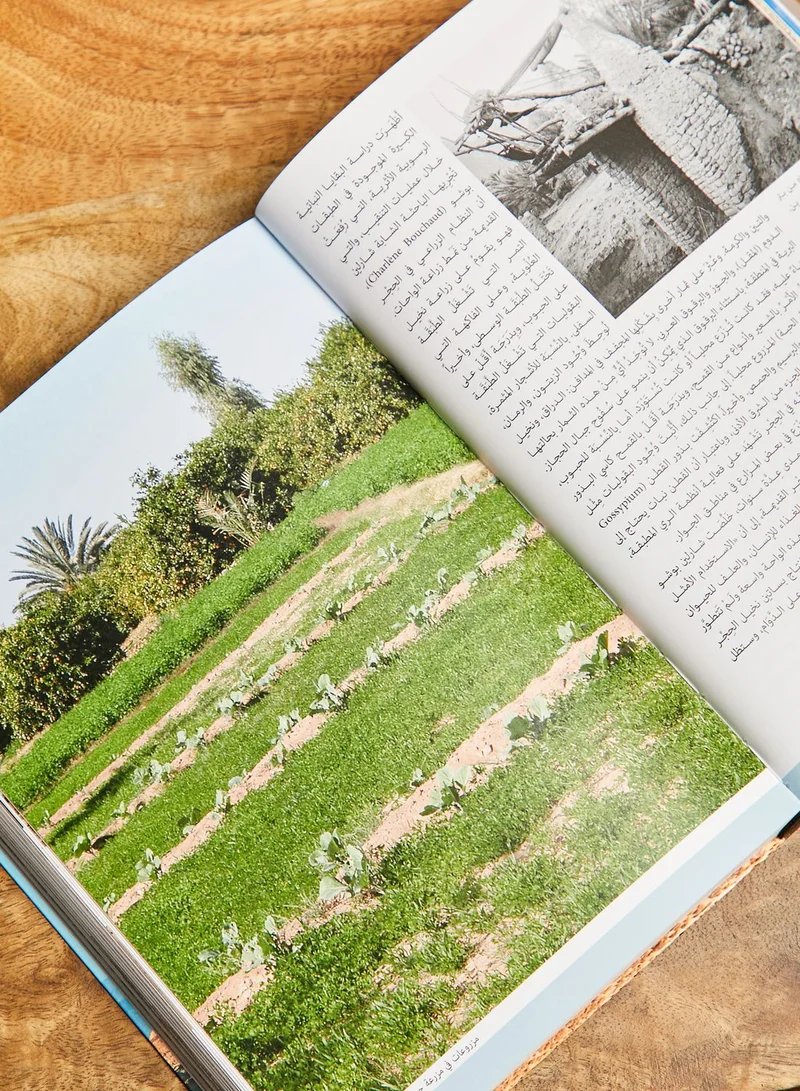 ثيمز كتاب علم الآثار في أرض الأنباط العرب