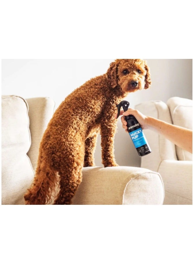 Animology Mucky Pup No Rinse Puppy Shampoo 250ml - Image 2