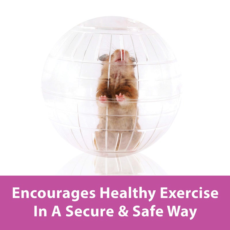 Kaytee 13" Clear Run-About Exercise Ball For Pet Rats & Chinchillas - Image 4
