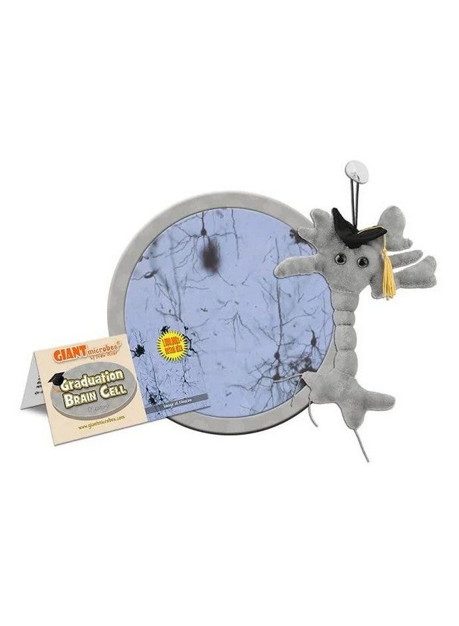 Giant Microbes GIANTmicrobes Graduation Brain Cell Plush, graduation plush 2025, graduation stuffed animal 2025, graduation gifts class of 2025, nurse graduation gift, medical school graduation gifts - Image 2
