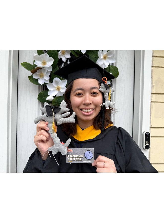 Giant Microbes GIANTmicrobes Graduation Brain Cell Plush, graduation plush 2025, graduation stuffed animal 2025, graduation gifts class of 2025, nurse graduation gift, medical school graduation gifts - Image 4