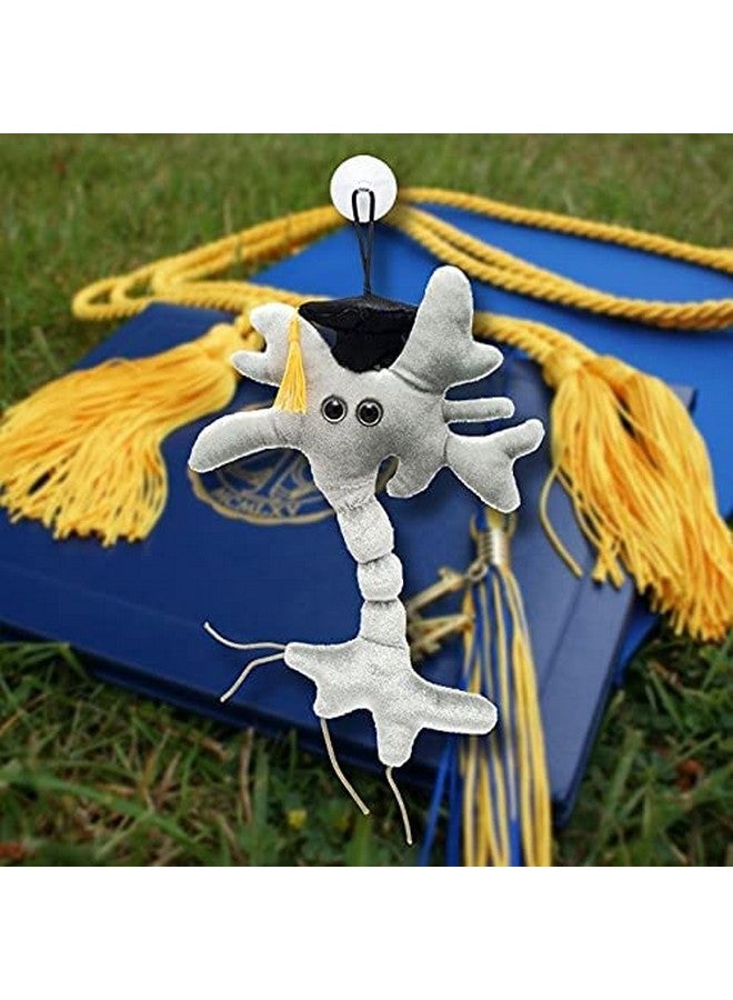 Giant Microbes GIANTmicrobes Graduation Brain Cell Plush, graduation plush 2025, graduation stuffed animal 2025, graduation gifts class of 2025, nurse graduation gift, medical school graduation gifts - Image 5