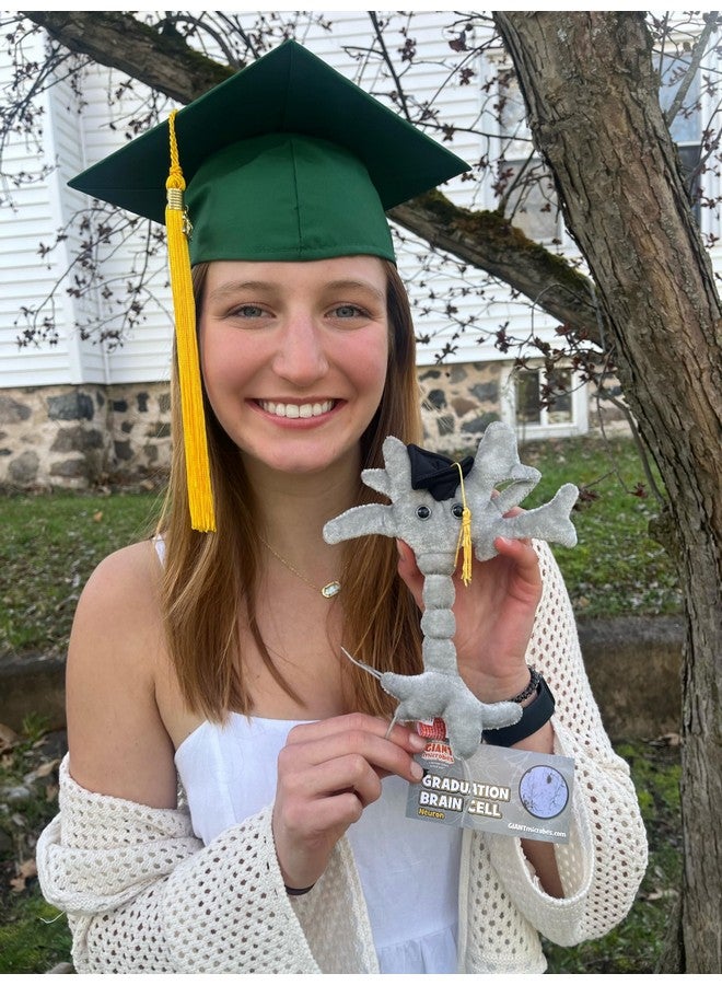 Giant Microbes GIANTmicrobes Graduation Brain Cell Plush, graduation plush 2025, graduation stuffed animal 2025, graduation gifts class of 2025, nurse graduation gift, medical school graduation gifts - Image 3
