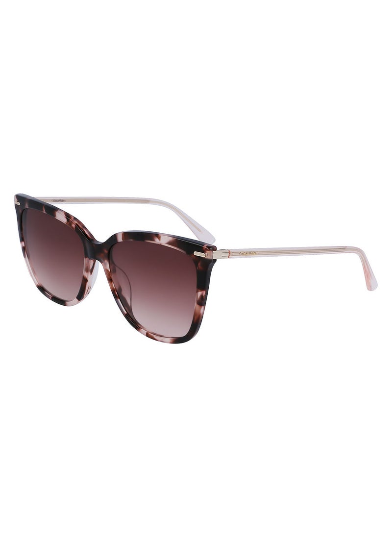 CALVIN KLEIN Full Rim Acetate Modified Rectangle Calvin Klein Sun Ck22532S 5616 (663) Rose Tortoise  - Image 1