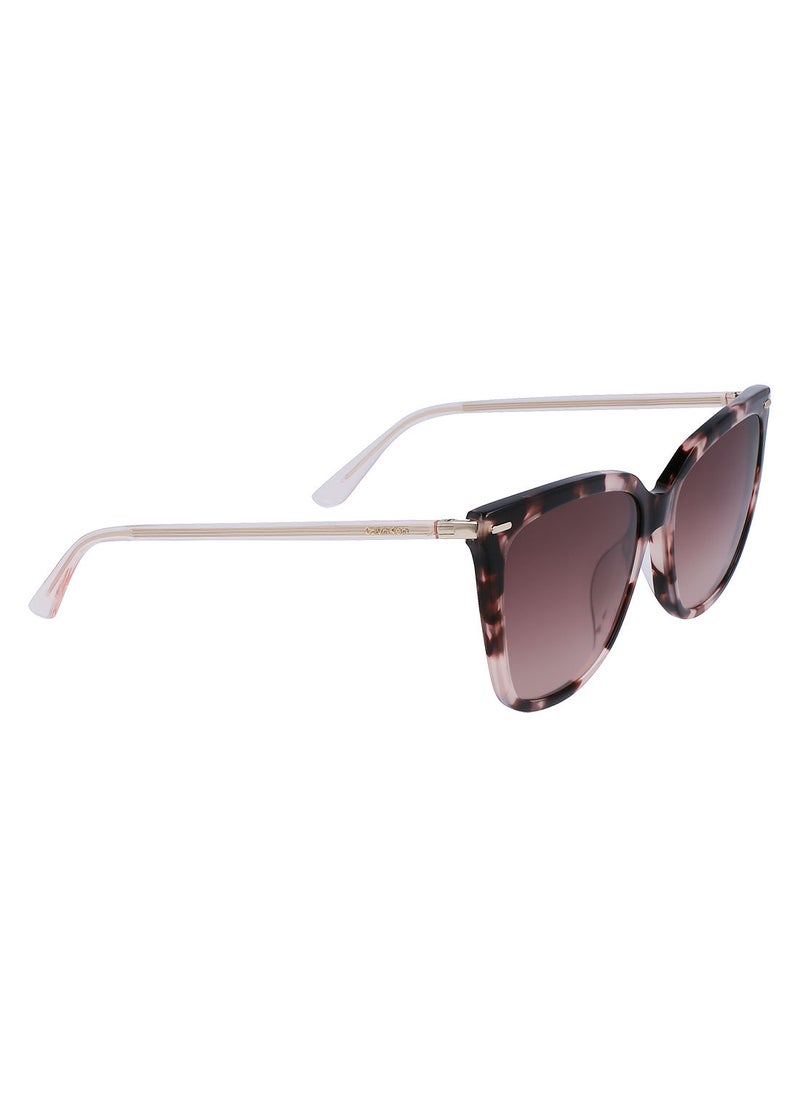 CALVIN KLEIN Full Rim Acetate Modified Rectangle Calvin Klein Sun Ck22532S 5616 (663) Rose Tortoise  - Image 2