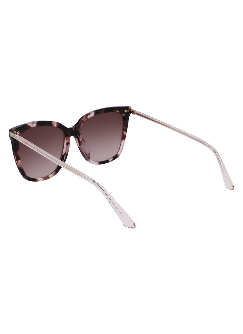 CALVIN KLEIN Full Rim Acetate Modified Rectangle Calvin Klein Sun Ck22532S 5616 (663) Rose Tortoise  - Image 3