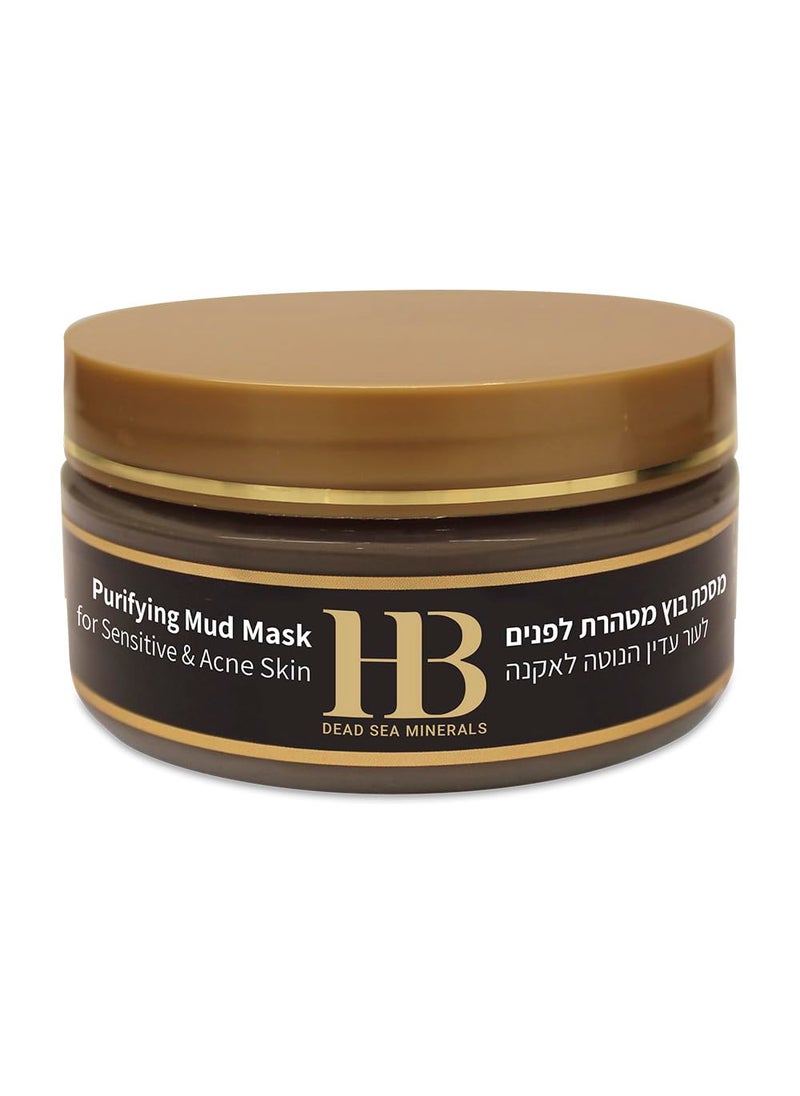 H&B - H&B DEAD SEA Purifying Mud Mask for Sensitive & Acne Skin - Image 1