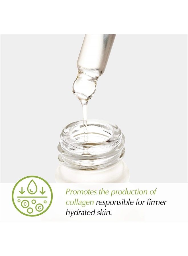 THE POTIONS Peptide Ampoule for Face l Collagen Support, Anti Aging, Elasticity l Korean Skincare, Cruelty-free, Hypoallergenic - 20ml - Image 3