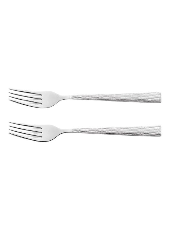 Amefa 2-Piece Dishwasher Safe Stainless Steel Table Fork Set Silver 2.8 x 25 x 4.8 cm 6210X0VDXCAF2