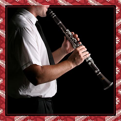 Eastar B Flat Clarinet for Beginner, Ebonite Clarinet Nickel-plated with 2 Barrels, 3 Reeds, White Gloves, Hard Case, Cleaning Kt, ECL-300 - Image 2