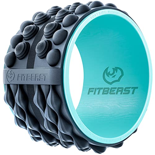 FitBeast أسطوانة ظهر فيت بيست، عجلة ظهر أسطوانة فوم - أسطوانة عضلات مستهدفة للتدليك العميق، ممدد ظهر (12 بوصة، أزرق) - Image 1
