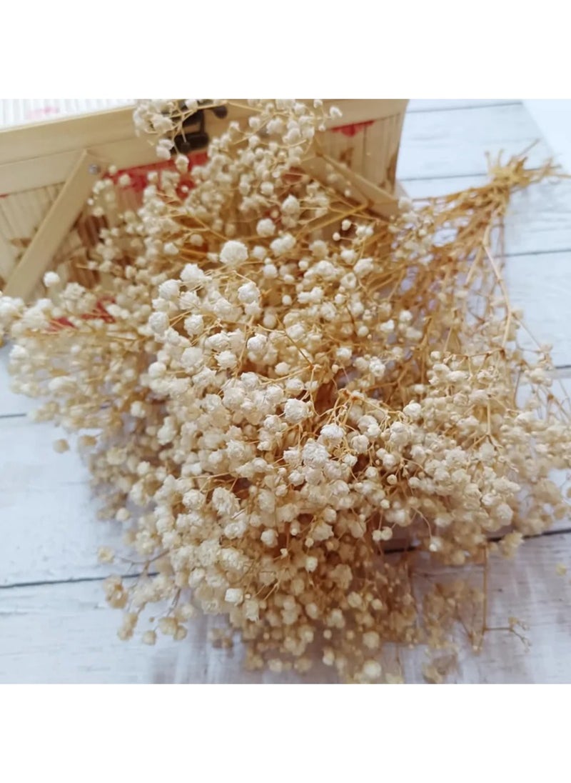 Generic Baby's Breath Flower 15 Pieces  - Image 1