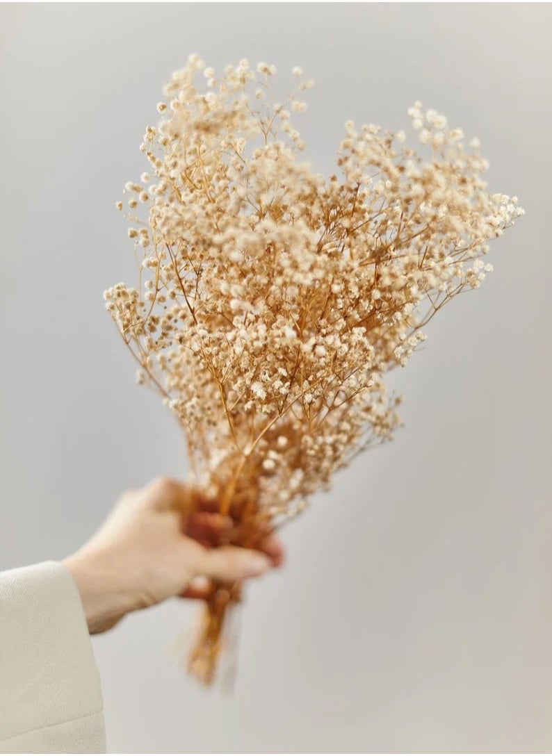 Generic Baby's Breath Flower 15 Pieces  - Image 3