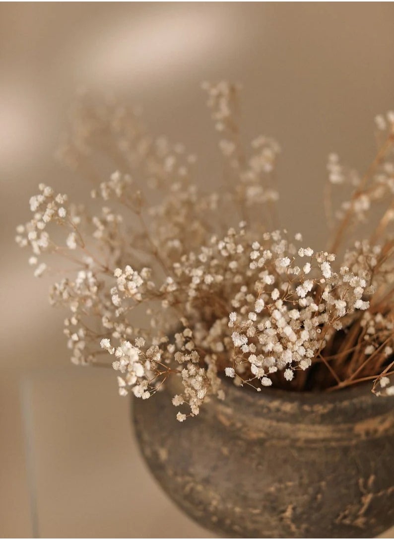 Generic Baby's Breath Flower 15 Pieces  - Image 4