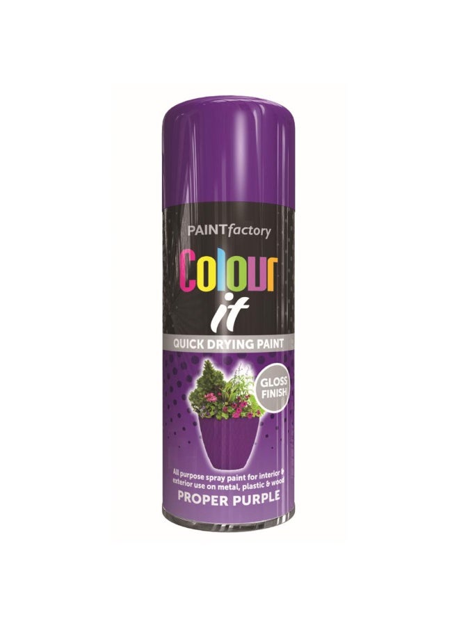Paintfactory Paint Factory Proper Purple Gloss Spray Paint 250ml - Image 1