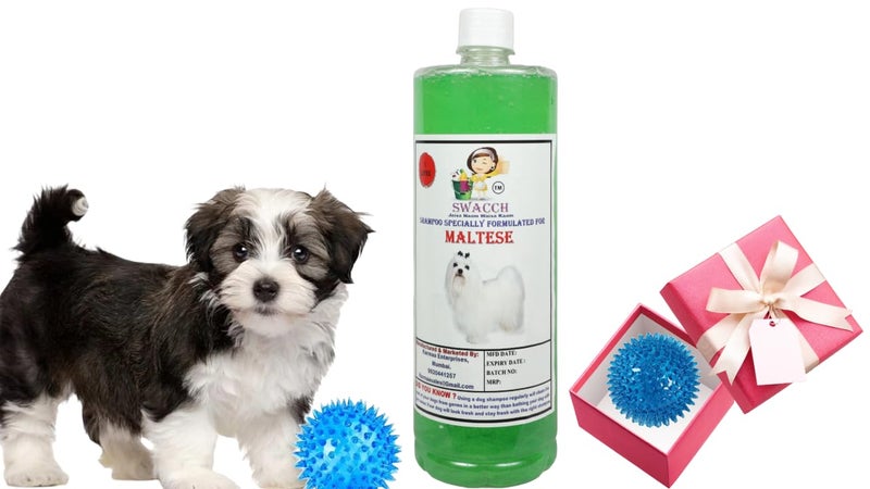 swacch Shampoo | Puppy Safe Shampoo | PH Balanced | Ditch to Itch for Maltese Dog Shampoo 1 Litre (Neem Alovera) + Spike Ball Chew Toy Combo Pack - Image 1