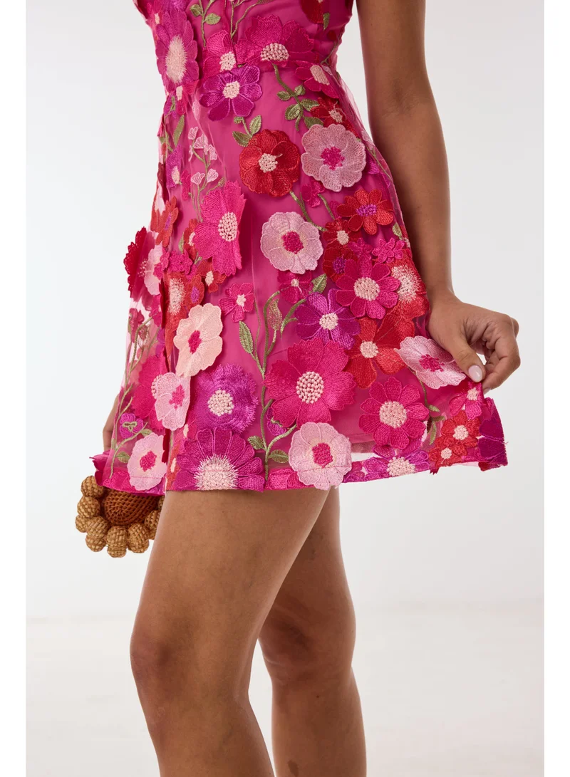 Ashita Fernandes 3D Floral Appliqué Mini Dress