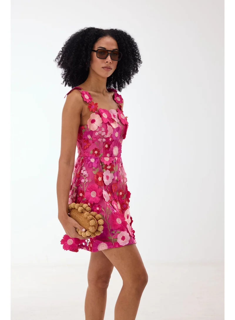 Ashita Fernandes 3D Floral Appliqué Mini Dress