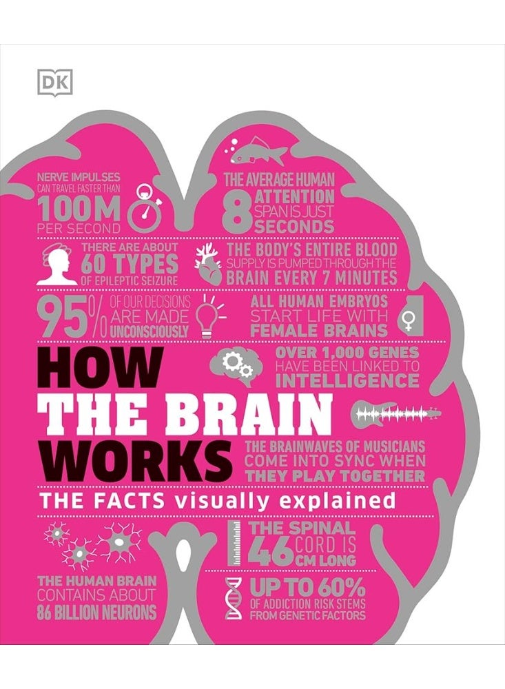 How the Brain Works: The Facts Visually Explained