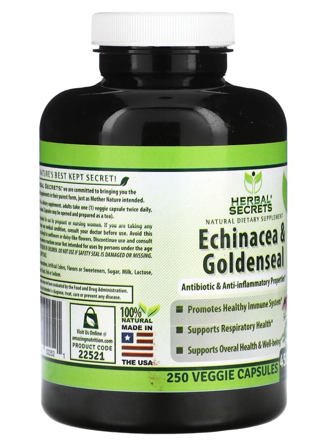Herbal Secrets Echinacea & Goldenseal 450 mg  250 Veggie Capsules - Image 2