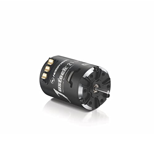 HOBBYWING JUSTOCK Black G2.1 brushless Motor for 1/10, 1/12, Zero Timing, Spec Racing (25.5T G2.1) - Image 2