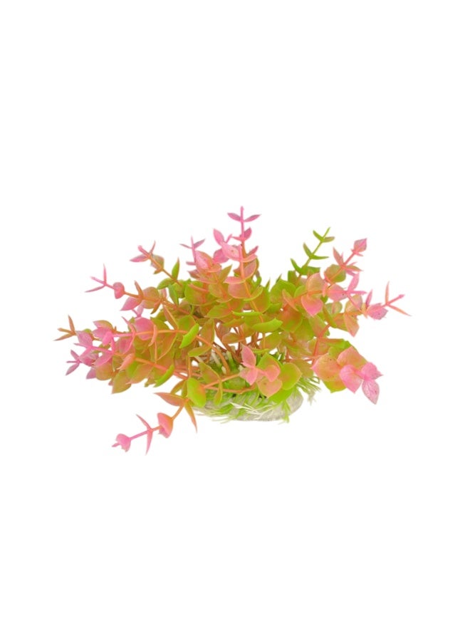 Generic Tankii Aqurium Artificial Plant Ludwiga Mixed Colors  - Image 1