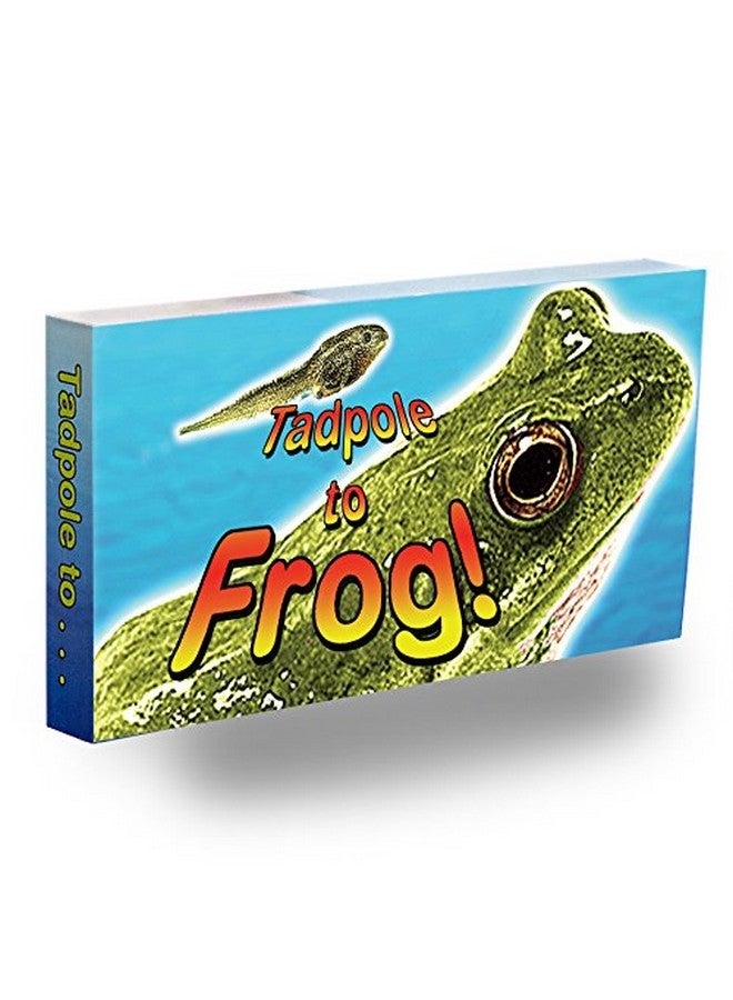 Fliptomania Tadpole To Frog Animation Flipbook