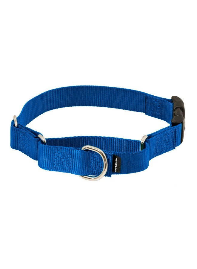 بيت سيف طوق مارتينجال للكلاب من بيت سيف مع مشبك سريع الإغلاق - صغير، 3/4 بوصة، أزرق ملكي - Image 1