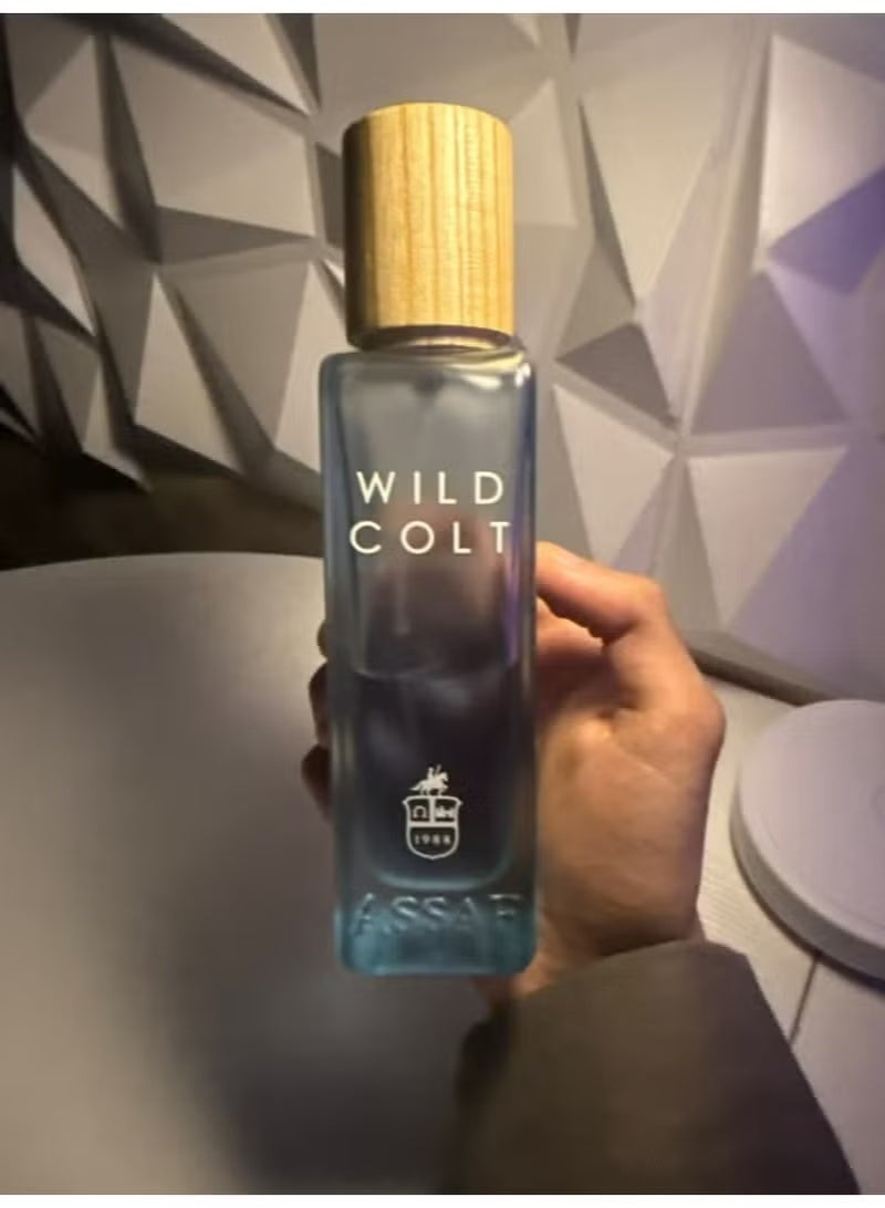 ASSAF WILD COLT EDP 200 ML - Image 3