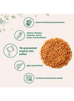 Micro Ingredients Organic Bee Pollen Granules, 1lb | Pure Fresh Harvest, Natural Superfood, Raw Sweet Flavor | Rich in B Vitamins, Minerals, Protein, & Antioxidants | Keto, Non-GMO  - Image 3