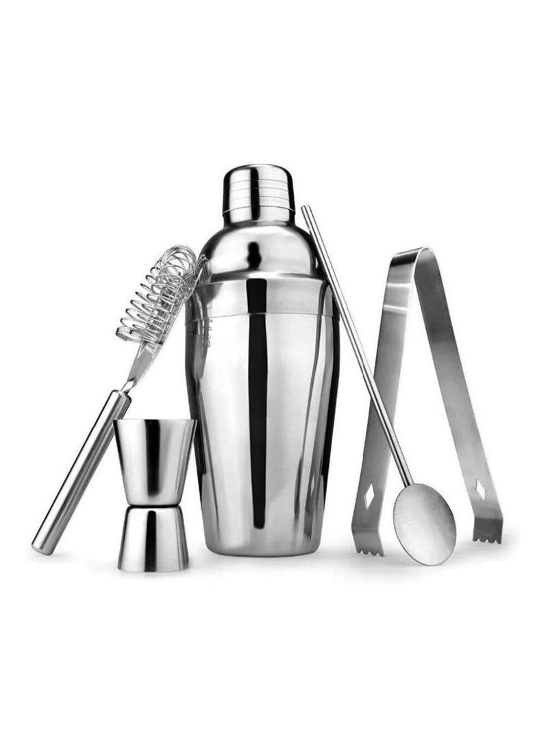 بلومنغ تايم مجموعة أدوات خلط الكوكتيل المنزلية من 6 قطع من الفولاذ المقاوم للصدأ، سعة 550 مل، فضي - Image 1