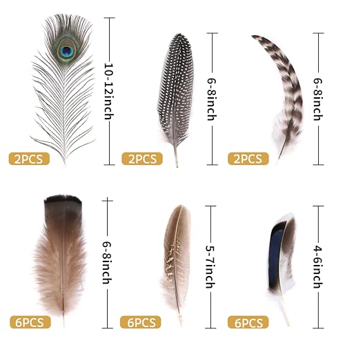 Holmgren 24pcs Natural Feathers Bulk - 6 Styles Assorted Peacock, Pheasant, Turkey Feathers for Craft DIY Jewelry Hat Wedding Home Party Decoration - Image 2