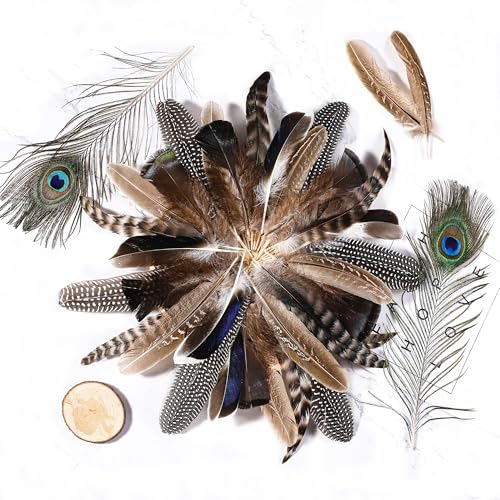 Holmgren 24pcs Natural Feathers Bulk - 6 Styles Assorted Peacock, Pheasant, Turkey Feathers for Craft DIY Jewelry Hat Wedding Home Party Decoration - Image 4