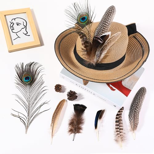 Holmgren 24pcs Natural Feathers Bulk - 6 Styles Assorted Peacock, Pheasant, Turkey Feathers for Craft DIY Jewelry Hat Wedding Home Party Decoration - Image 5