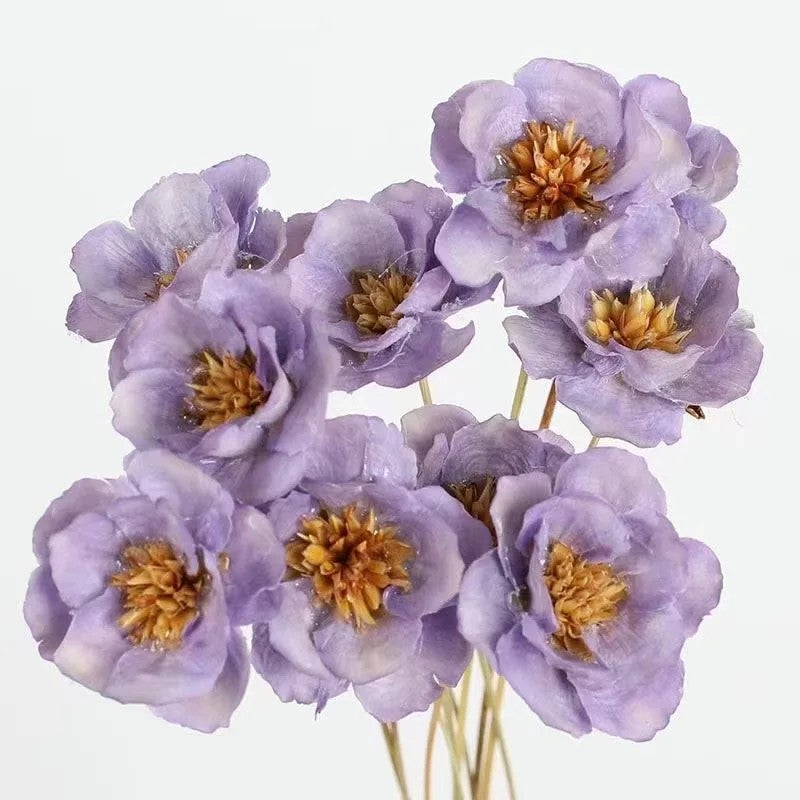 Bluejw Handmade Small Silver Bellflower Dried Flower Arrangement with Stem – Elegant Dried Plants for Easter, Wedding, New Year & Festive Home Decor - Image 3