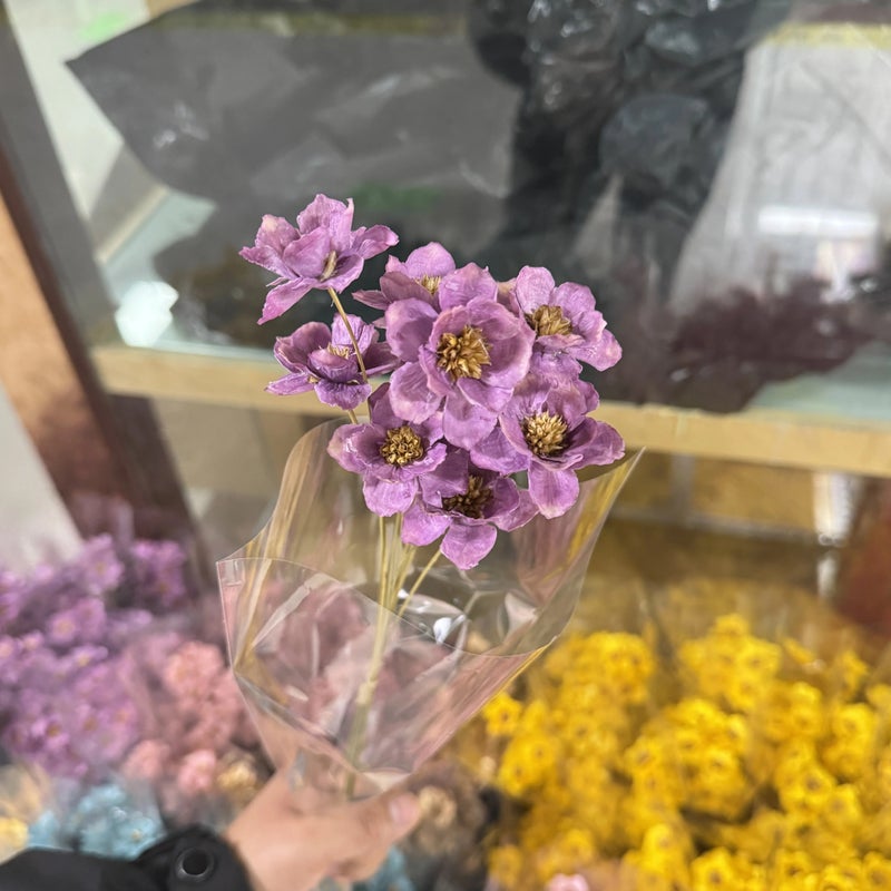 Bluejw Handmade Small Silver Bellflower Dried Flower Arrangement with Stem – Elegant Dried Plants for Easter, Wedding, New Year & Festive Home Decor - Image 1