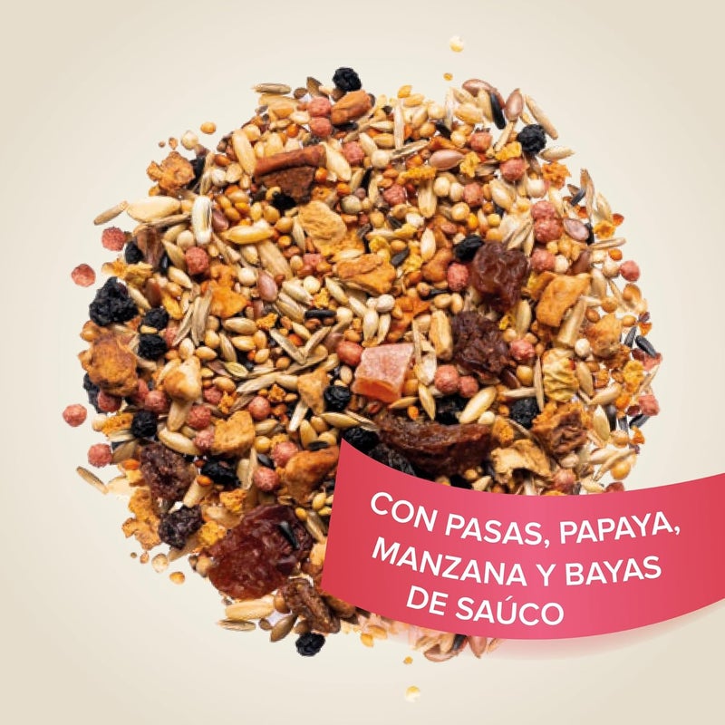 beaphar Fruit seed 150g - Snack for birds - With raisins, papaya, apple and elderberry - Enriched with vitamins - Supplement to the daily diet - Image 2
