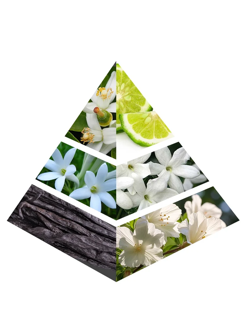 Character Magical Way Eua De Parfum
