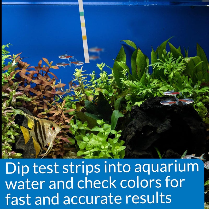 API 5in1 Test 4 Strips for Freshwater & Saltwater Aquarium 4 Strip - Image 5